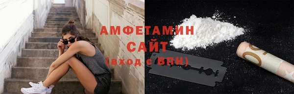 индика Нязепетровск