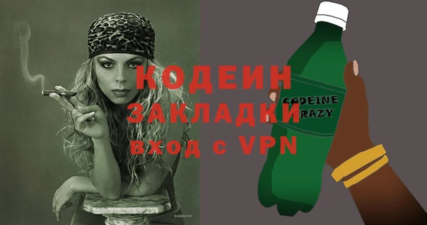индика Нязепетровск
