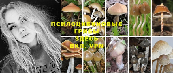 индика Нязепетровск