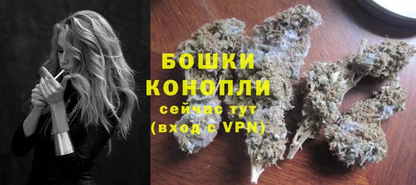 индика Нязепетровск
