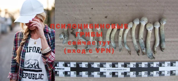 индика Нязепетровск