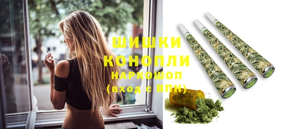 индика Нязепетровск