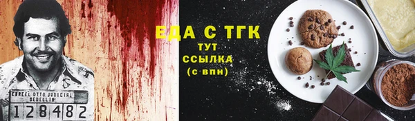 индика Нязепетровск