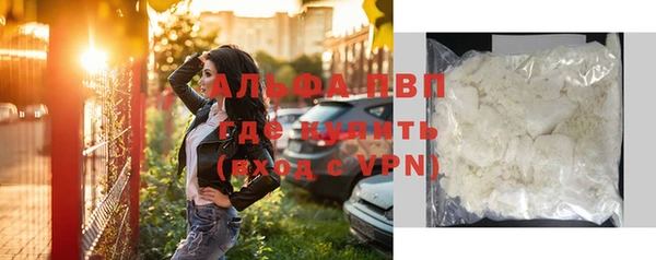 индика Нязепетровск