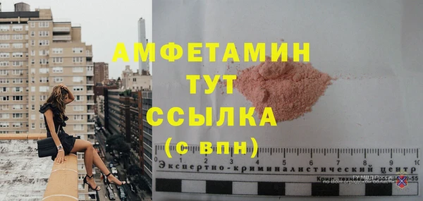 твердый Новозыбков