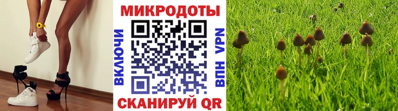 даркнет телеграм  Краснозаводск  Галлюциногенные грибы ЛСД 
